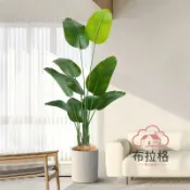 布拉格奇幻生活 免運 公司貨 仿真 北歐室內仿真綠植盆栽高端客廳假樹植物旅人蕉高品質室內裝飾擺件 可開發票 全館五折 工廠現貨直銷 新品特價 BLGQHSH1225