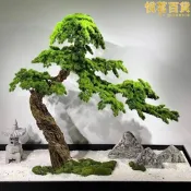 【現貨免運】仿真松樹迎客松假樹樹大型美人羅漢松新中式客廳玄關室內裝飾造景