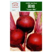 (店+)【天橙種子】甜菜根種子 紅甜菜“圓娃”Beetroot  根莖類種子 天星牌 穗耕種苗 彩色原包裝