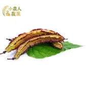 現貨隔日寄  紫翼豆種子 四角豆/楊桃豆同款 蔓性豐產豆莢脆甜 陽台家庭菜園必種健康蔬菜 開花10天可採收