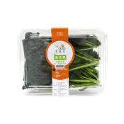 NICE GREEn  美蔬菜羽衣甘藍盒 1盒 ( 生菜 溫沙拉 蔬果汁 水耕蔬菜 )