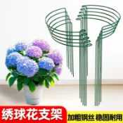 可開票K9⭐ 花支撐架繡球花防倒伏支架園藝金錢樹龜背竹半圓護葉架植物支撐杆花盆🛒花架🛒支撐架🛒