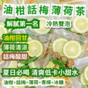 話梅油柑薄荷茶 凍幹檸檬油柑冷泡水果茶 夏日解膩茶包 夏日清潤飲 冷泡茶包 果乾水 清爽解膩茶 油柑茶 低卡小甜水