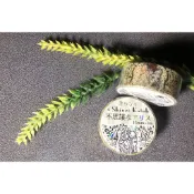 (現貨) 日本製_日本作家加藤真治_Shinzi Katoh_“不思議的愛麗絲“燙金紙膠帶_The tiny key_
