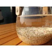 天然進口貝殼砂 珊瑚砂 菲律賓 1KG裝 水族魚缸 園藝造景 雅石砂盤