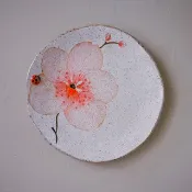 手感小圓盤・臺灣萬代蘭系列