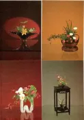 【流動郵幣世界】77年花藝郵票粽合特展松竹梅歲寒三友系列(空白)明信片(三)