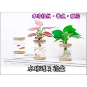 水培透明花盆 塑膠花盆 水耕瓶 水根盆 水植盆栽 水生植物盆栽 透明花盆 養魚養植物 多肉花盆 無土栽培花盆