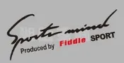 【湘阪車飾】SYM 三陽  Fiddle 機車 摩托車 燈眉貼 大燈貼 車身貼JET/4MICA/金發財/FNX