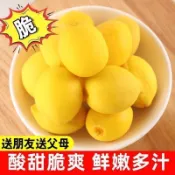桃人喜歡脆桃 甜脆桃 笑盛鎖喉桃 30g 情人果 開心脆桃 小黃桃 酸甜黃桃95g 鎖喉桃 甜脆桃涼果蜜餞 傳統休閑零食