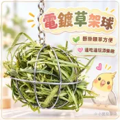 ☆小寵當家☆電鍍草架球 兔子草架 天竺鼠草球 牧草架 懸掛式餵草器 小動物草架 兔籠配件 牧草球 餵食球 草架 寵物用品