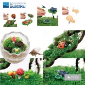 小郭水族-日本Suisaku 水作【水作生態造景飾品系列】苔蘚 微景觀 裝飾品 水陸缸 桌上植物 植栽 魚缸造景 盆景