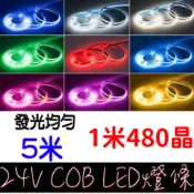 【金秋電商】COB 燈條 24V 單色 5米 軟燈條 1米480晶 LED 氣氛燈 室內裝潢 電視牆 廣告燈箱 遊覽車