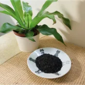【快速出🐱】貓砂除臭活性碳🫧｜95g｜貓砂除臭粉｜除貓尿味｜直接加入礦砂使用