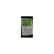 (店+)花森好市-香草植物**巧克力薄荷 ** 5吋盆/高13-20cm/清涼芳香/MA
