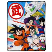 [現貨]七龍珠空調毯 天下第一武道會 孫悟空 Dragon Ball Z卡通動畫 休閒居家寵物生日交換禮物