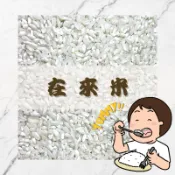  Yummy!!在來米｜舊米｜糕粿專用米｜傳統小吃｜蘿蔔糕｜ 菜頭粿｜ 發粿｜碗粿｜粄條｜米苔目