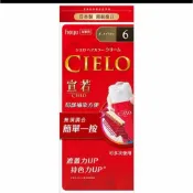 宣若染髮劑 6號 全新