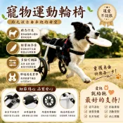 🔥台灣出貨🔥寵物輪椅 狗狗後腿輪椅 狗狗助行輪椅 兩輪狗車 中大型犬殘疾犬老犬行走輔助輪椅輕量可調節戶外散步助行推車
