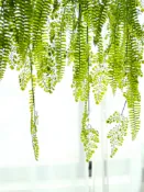 協貿國際日用品生活8館 仿真垂吊綠植波斯蕨類植物吊飾懸掛藤條藤蔓吊籃壁掛陽臺櫥窗裝飾
