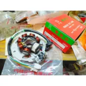 士電，4VP 電盤底座總成：BWS100 PRO/JOG/Vino90大兜風小丸小玩子電盤內仁轉子線圈發電機內仁線圈墊片