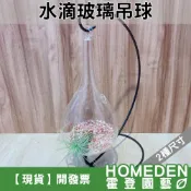 (店+)水滴玻璃吊球 造型玻璃球 空氣鳳梨 仙人掌 多肉植物【HOMEDEN霍登園藝】