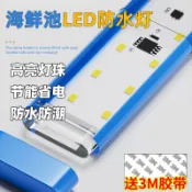 🎉可開發票丨🔥 海鮮池專用燈魚池燈魚缸燈led燈防水燈專用海鮮照明燈燈管水族燈 LTVC
