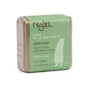 【NAJEL】死海泥阿勒坡手工古皂100g香皂肥皂(總代理公司貨)