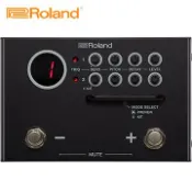 Roland 樂蘭  TM-1 拾音音源器 原廠公司貨 商品保固有保障