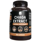 《巨便宜》白樺茸/樺樹菇/白樺蕈/Chaga 洽加 多醣體 400毫克*365顆 半年份 最低單價！
