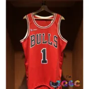 ZQGC🏀球迷版 Derrick Rose 75週年 鑽石標 客場 NBA球衣 公牛球衣 公牛隊 球衣 公牛 芝加哥公牛