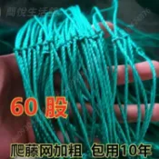 台中出貨👌60股爬藤網網格 種植網 家用農用搭架網 絲瓜菊花網 葡萄百香果藤蔓網 絲瓜苦瓜爬藤網 瓜蔞爬藤網 藤蔓植物