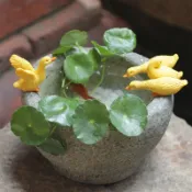 協貿國際日用品生活8館 創意銅錢草水培小鴨子花盆擺件個性裝飾仿石臼多肉植物微景觀盆栽