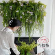布拉格奇幻生活 免運 公司貨 仿真 仿真花假花垂吊植物室內裝飾壁掛假綠植墻蕨類小植物掛壁花卉擺件 可開發票 全館五折 工廠現貨直銷 新品特價 BLGQHSH1225