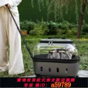 青禾優選 【全網低價 可打統編】寵物拉桿箱帶剎車貓咪外出行李箱貓包便攜狗太空艙大容量寵物推車