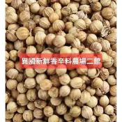 泰國茴香籽/(rau mùi)香菜籽/芫荽(香菜)(1顆破殼後有2粒籽)/全株可食用/泰國料理最愛香菜根