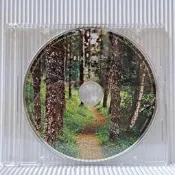 [ 雅集 ] 裸片CD 新世紀音樂 凱文柯恩 風的迷藏  金革音樂/發行  TC 97