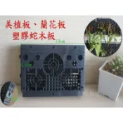 【園藝城堡】美植板 蘭花板 塑膠蛇木板 蘭花 蕨類 附生植物使用可取代蛇木板