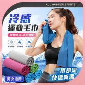 【All wonder】運動冷感冰涼巾 降溫毛巾 健身房 運動 戶外 跑步 冰爽吸汗速幹毛巾 男女通用