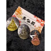 泰仙殿•2564成功佛寺大法會成功佛（背後陶威素灣）