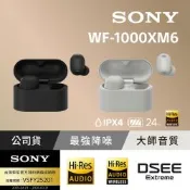 【Sony索尼】WF-1000XM6 旗艦真無線藍牙耳機 (公司貨 保固12+6個月)