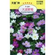 【萌田種子~】Y21 大波斯菊Cosmos bipinnatus~穗耕種苗~天星牌種子~波斯菊種子~