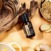 多特瑞 dō TERRA 生薑油 精油 15ml 上海公司貨 簡體標籤 新效期