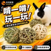 朝皓 兔子草球提摩西苜蓿草編制磨牙耐啃咬豚鼠荷蘭豬健齒零食玩具啃咬 實心提摩西球 玉米皮球 海草球 3個 提摩西草球