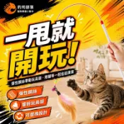朝皓 鋼絲羽毛逗貓棒 可替換頭響鈴逗貓桿 貓咪解悶玩具 貓玩具 寵物玩具 貓咪玩具 逗貓神器 貓抓板玩具 貓薄荷玩具