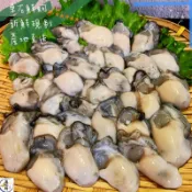 (温好鮮-水產)新鮮東石牡蠣｜產地直送｜肥美鮮蚵 附發票