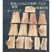台灣櫸【紅雞油】原木木板//鹿角蕨蘭類栽植上板/隔熱墊//藝品盆景奇石陶藝擺設底座/置物架/木質墊片/雕刻裝飾素材