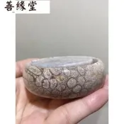 FOSSIL ��54.9 毫米菊花化石手鐲��水晶洞穴 ��嘉德 · 石化石��~善緣堂