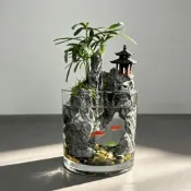 【水族療愈】亭峯羅漢松苔蘚桌面微景觀擺件 辦公室綠植養魚懶人水族箱裝飾 安全無毒免換水不掉色 2026新款設計推薦必備