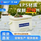 天際生活 【6L大容量】保溫箱 冷藏箱 冰桶 車載冰櫃 露營冰櫃 野餐箱 擺攤保冷箱 便攜式 戶外露營 燒烤野餐 端午送禮 保冷保溫